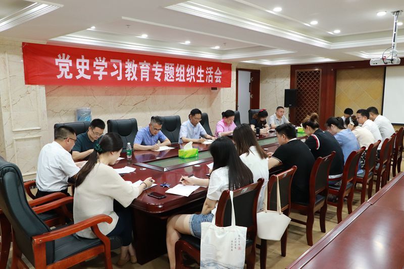 机关党支部召开党史学习教育专题组织生活会.jpg
