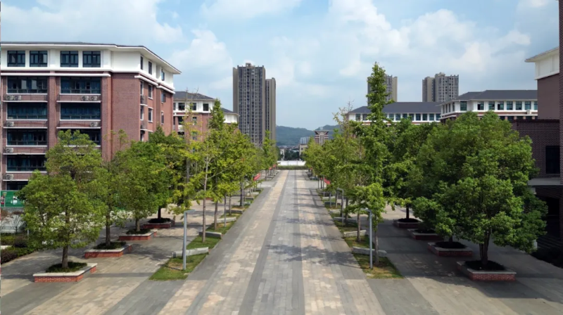 微信图片_20240926091409.png